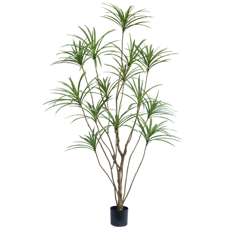  Arbre de dracaena artificiel, arbre de dracaena artificiel, H 72 po x l 32 po x P 32 po