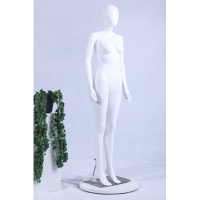 Anikesh Statue