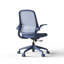Fauteuil de bureau ergonomique et coloré 350LBS Home Office Mesh-134443048-134443050