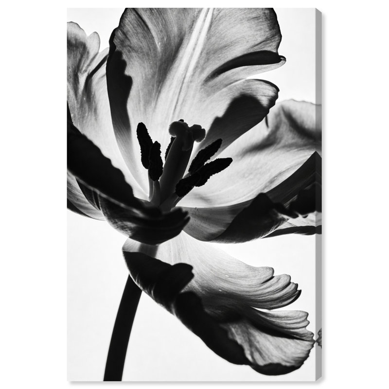Close Up Silhouette Print by Oliver Gal, 15" H x 10" W, Gallery Wrapped