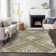 Chayden Indoor/Outdoor Chantille ACN1010 Area Rug