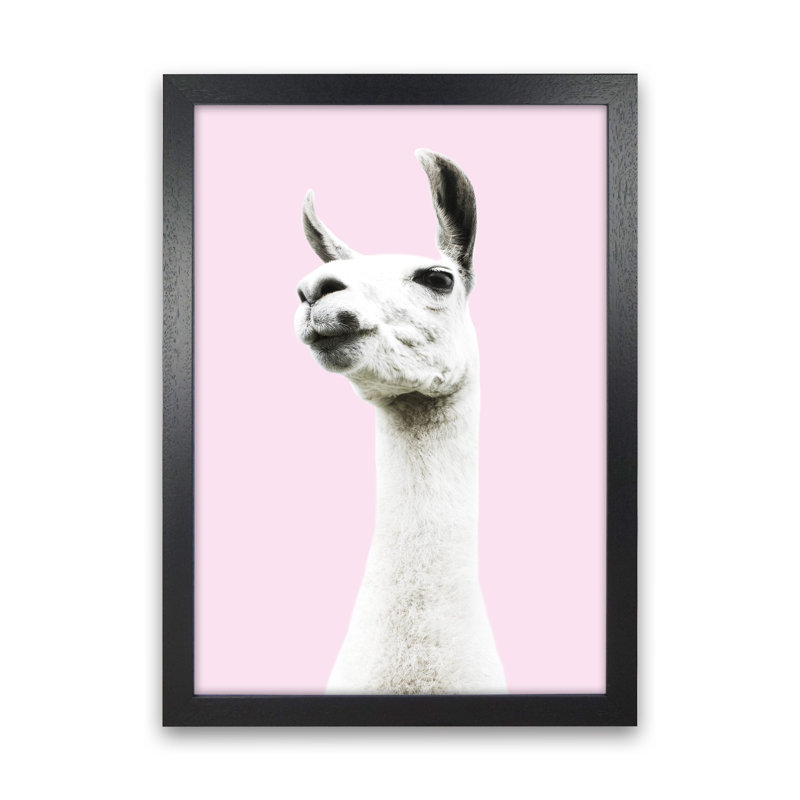 Pink Llama 1 Piece Wall Art, 34cm H x 25cm W x 3cm D, Black Framed