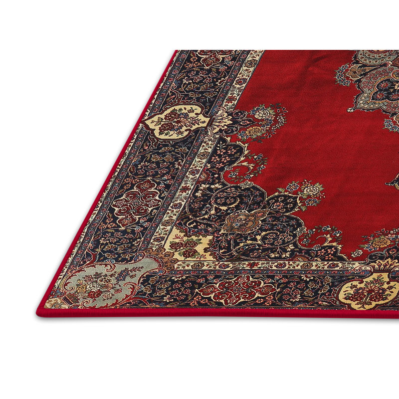 Oriental Indoor Rug, Rectangle 6' x 9'