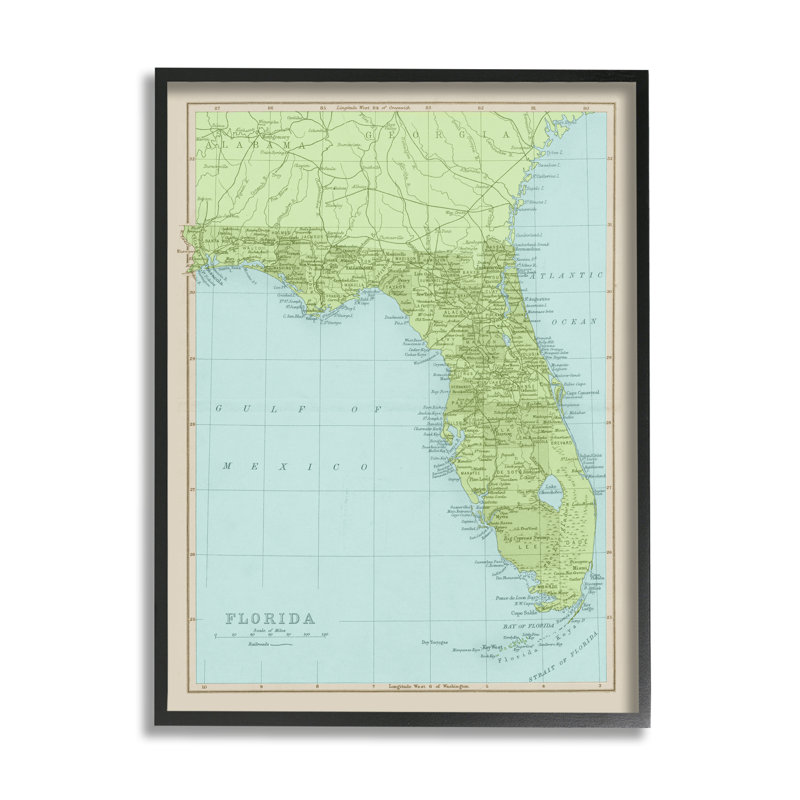 Carte de la bordure de l'État classique de la Floride, Giclée encadrée noir minuit, H 30 po x l 24 po