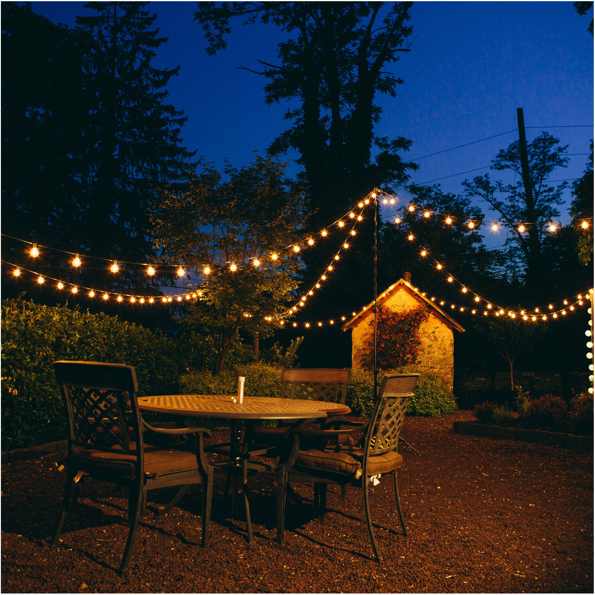 Alsip 50' Outdoor 50 - Bulb Globe String Light, White