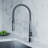 Dowell Pull Down Kitchen Faucet