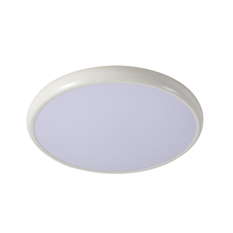 Modern Round LED Flush Mount Ceiling Light, Silver