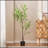 150CM ARTIFICIAL DISC LEAF TREE-363329149