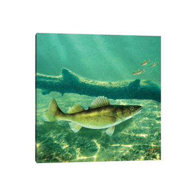 Deep Water Walleye - Wrapped Canvas Print