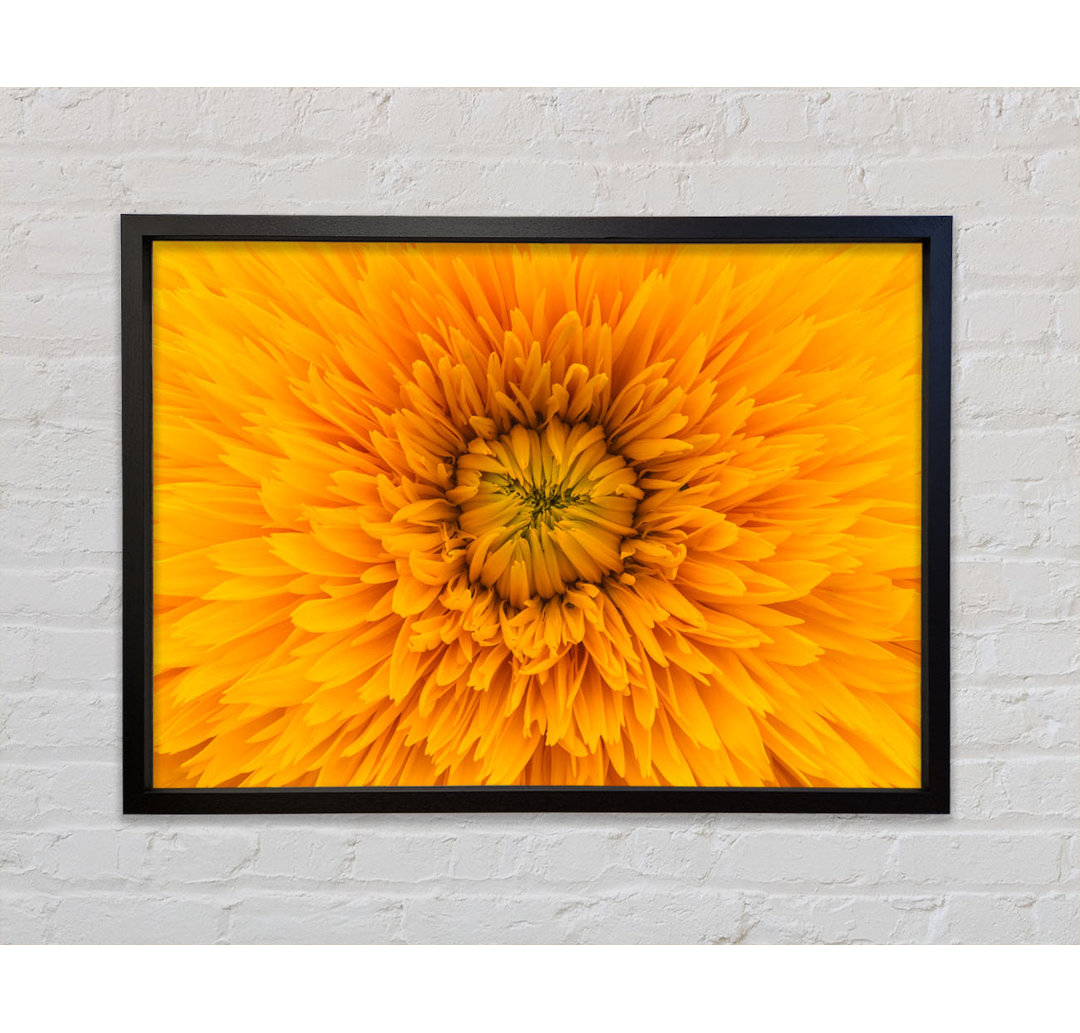 Gorgeous Yellow Flower Delight - Single Picture Frame Kunstdrucke auf Leinwand