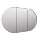 Three Door Steel Frame Pill Shape Medicine Cabinet