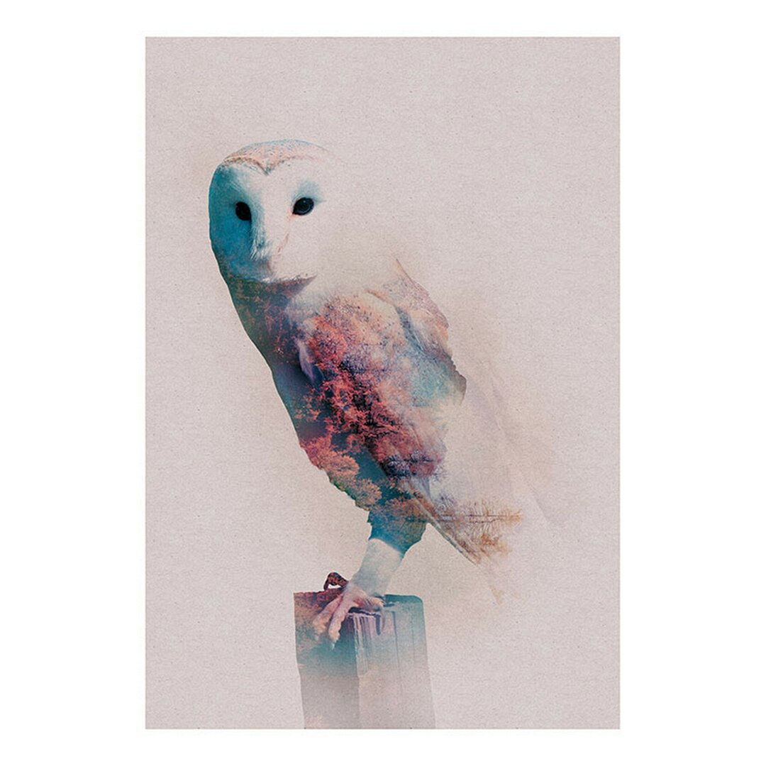 Poster Forest Animal Owl