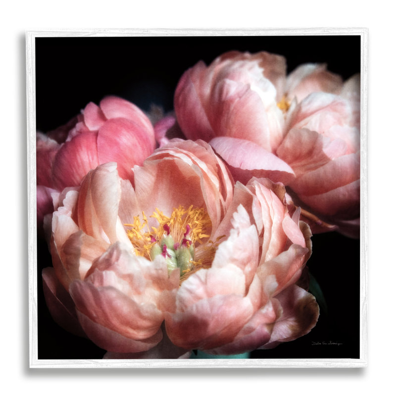 Photographie de pivoines en fleurs encadrée sur bois par Debra Van Swearingen, H 17 po x l 17 po x P 1,5 po