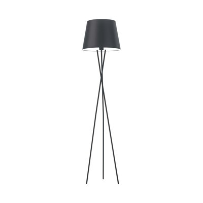 Arlaith 165cm Tripod Floor Lamp