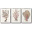 Sandstone Peel I - ensemble de 3 reproductions sur toile-97706493-97706494