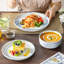 18-Piece Porcelain China Dinnerware Set - Service for 6-1253940266