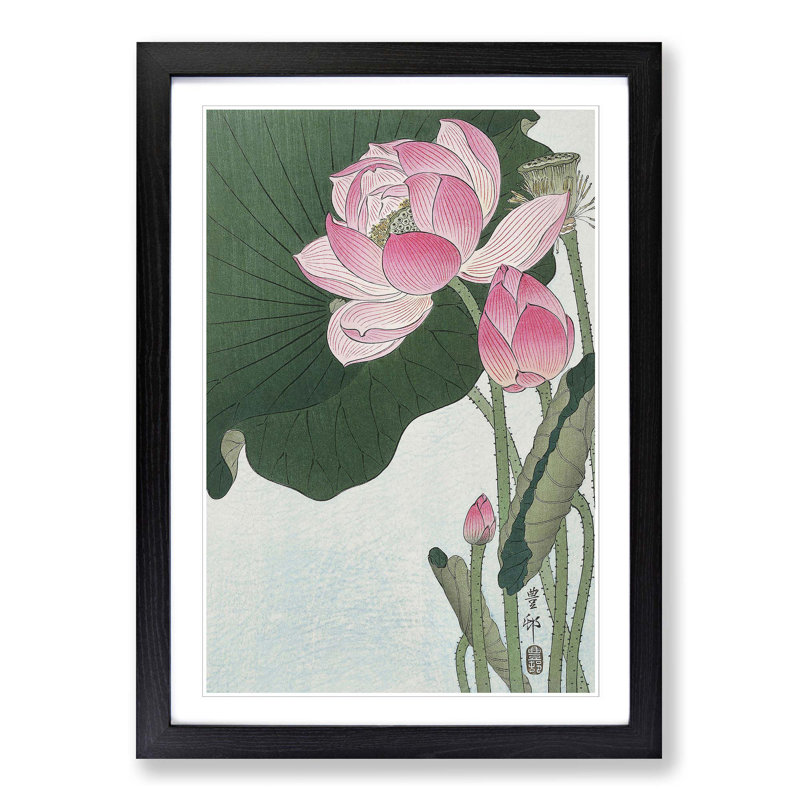 Pink Lotus Flower by Ohara Koson - Picture Frame Painting Print on MDF, Black Framed, 36cm H x 27cm W x 2cm D