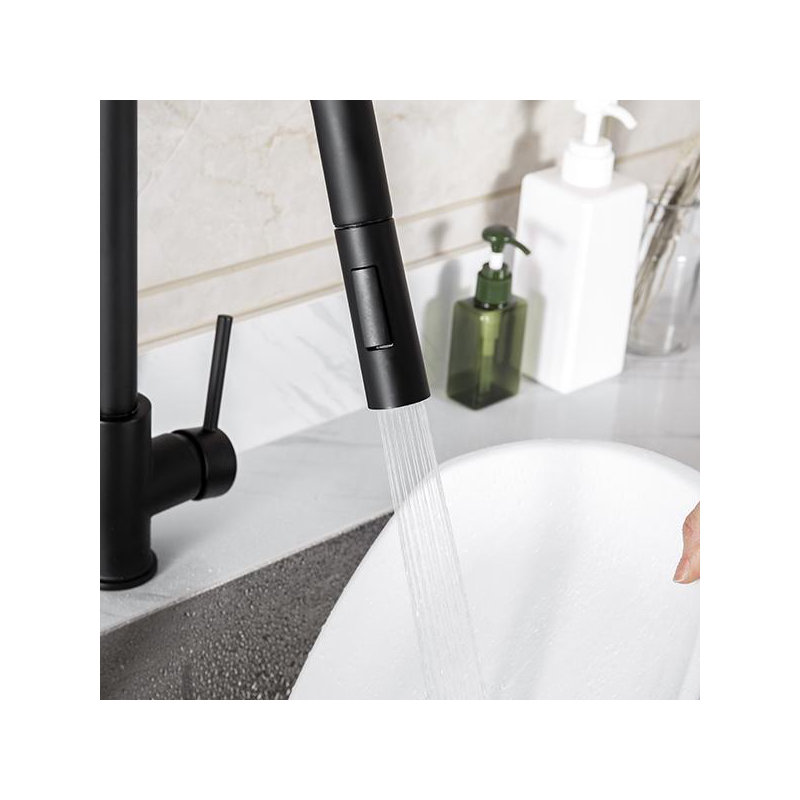 Robinet de cuisine à poignée simple avec accessoires Trova, Noir