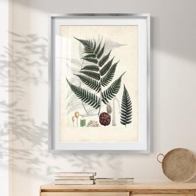Zac -Gallery Wrapped Canvas