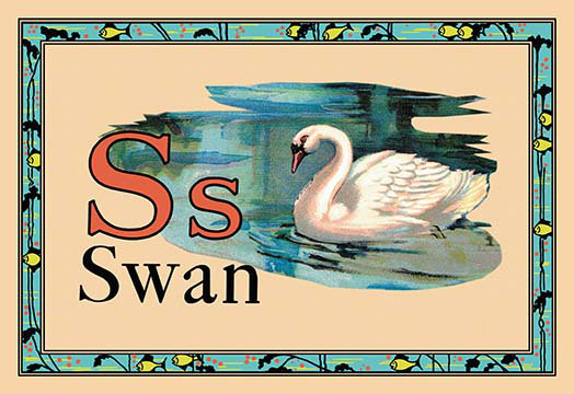 Impression swan