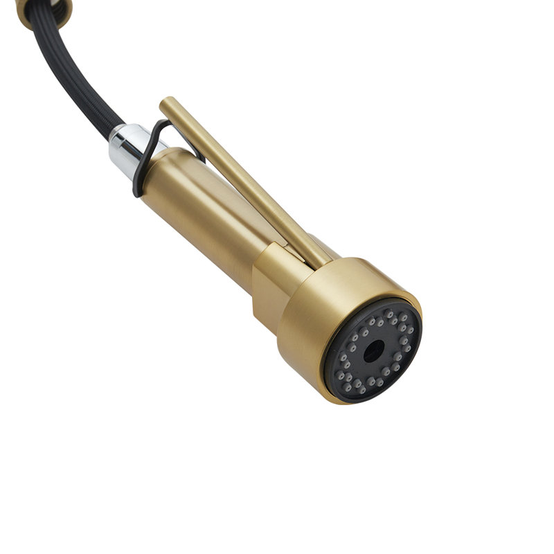 Belfry Kitchen Lippencott Pull Down Kitchen Faucet, Brushed Gold