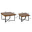 Ensemble de 2 tables basses