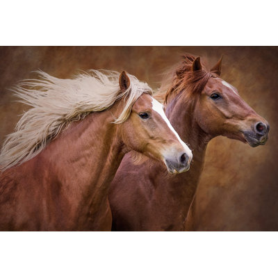 " Purebred I " by Ozana Sturgeon