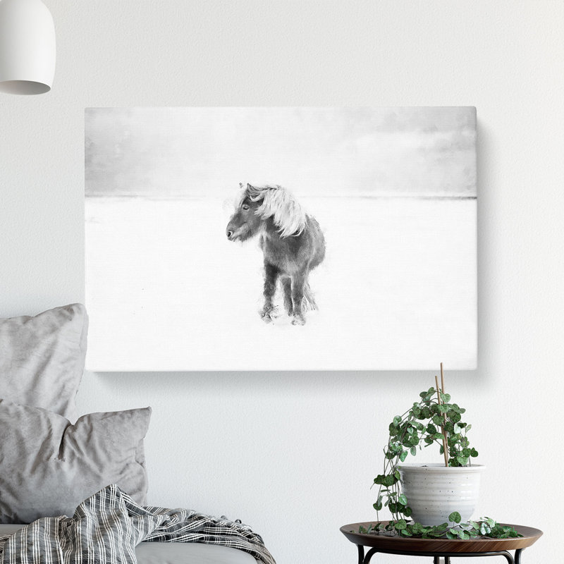 Wild Horse in Iceland - Wrapped Canvas, 35cm H x 50cm W x 3cm D