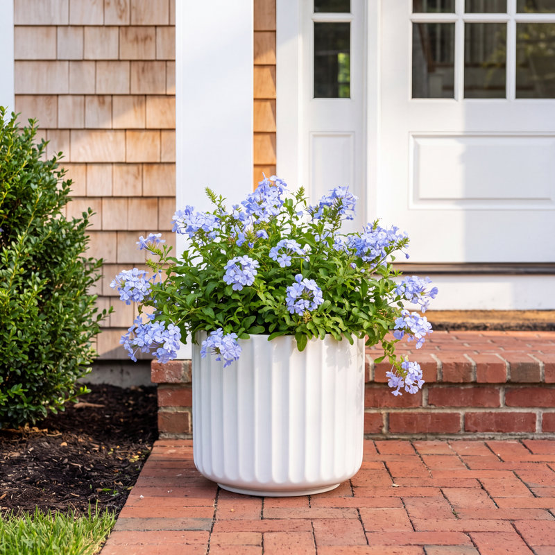 Allenville Fiberstone Plant Pot, 15" H x 16.5" W x 16.5" D, White