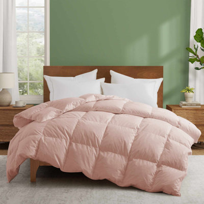 All Season White Goose Feather & Down Comforter Duvet Insert with 300TC 100% Cotton Cover, King