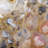 Hematite Quartz - Sidi Said, Morocco