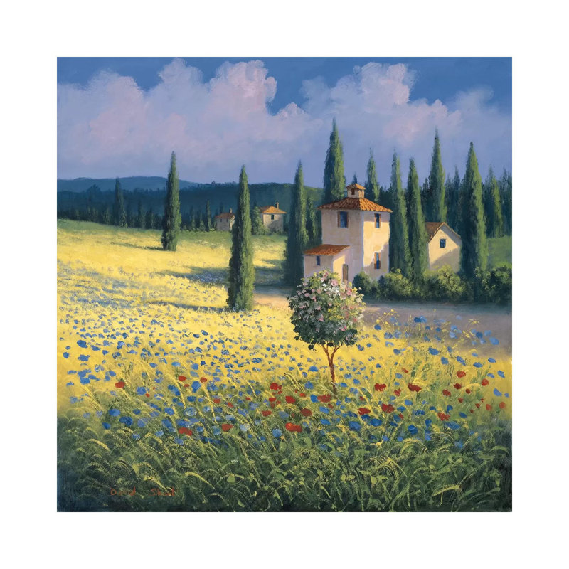 Tuscan Poppies I by David Short - Wrapped Canvas Print, 30.48 cm H x 30.48 cm W