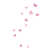 Pink / Light Pink