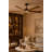 Hinkley Layton Ceiling Fan-108493460-108493459