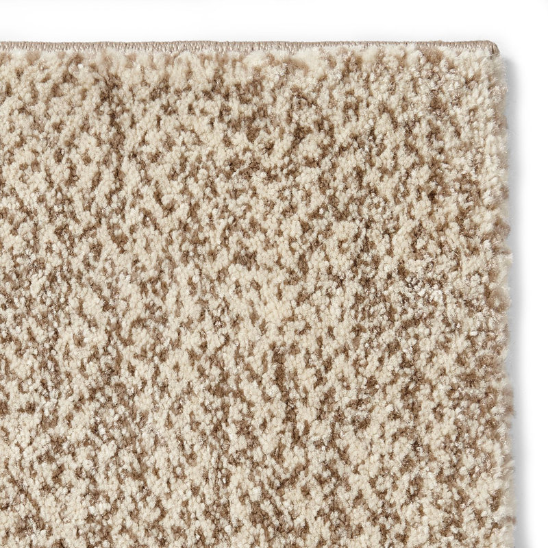 Bahnu area rug Machine Woven Rectangle Beige/Grey