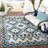 Amedee Performance Solid Color Indoor/Outdoor Area Rug-1563929095