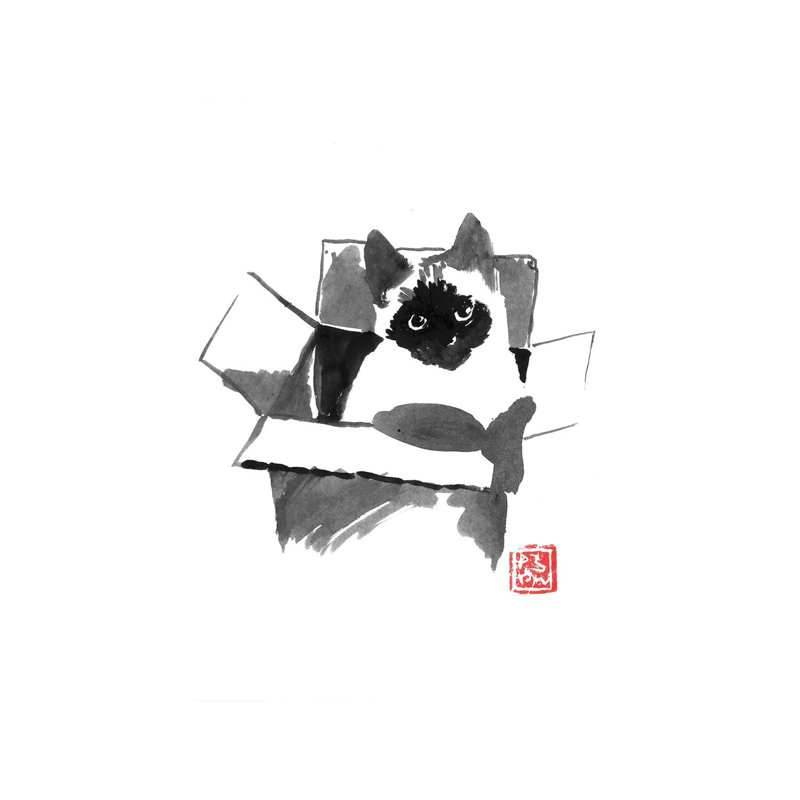 Cat in the Box 1 Piece Wall Art on Canvas, 30.48 cm H x 45.72 cm W, Wrapped Canvas