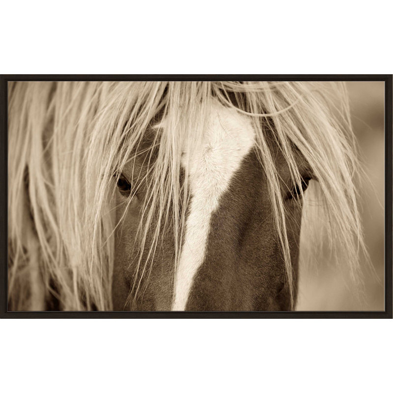 La blonde par - photographie, Cadre flottant espresso, H 27,5 po x l 43,5 po x P 2 po