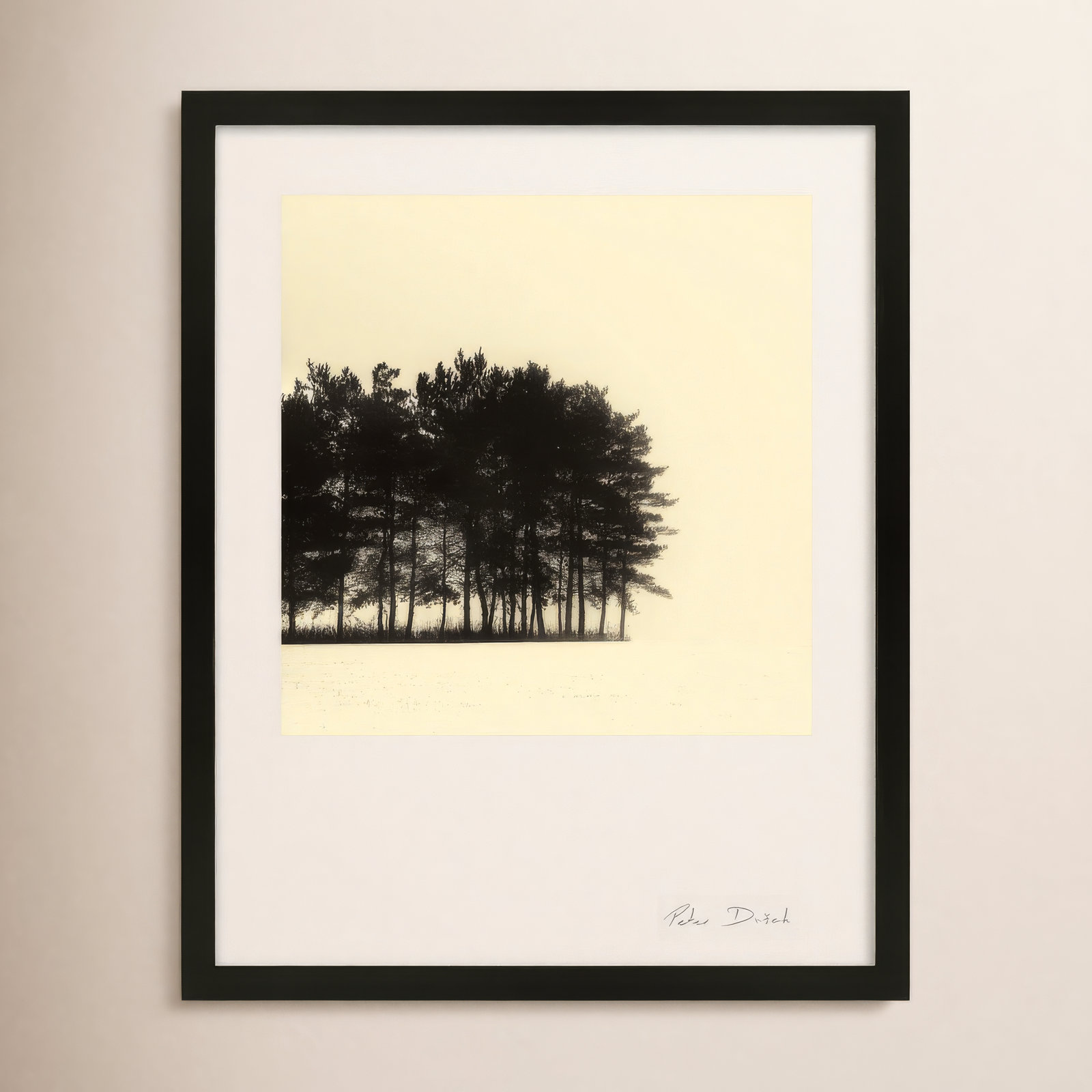 Garden Sign "Copse" Print by Peter Dušek, Black, 30" H x 24" W x 1.25" D