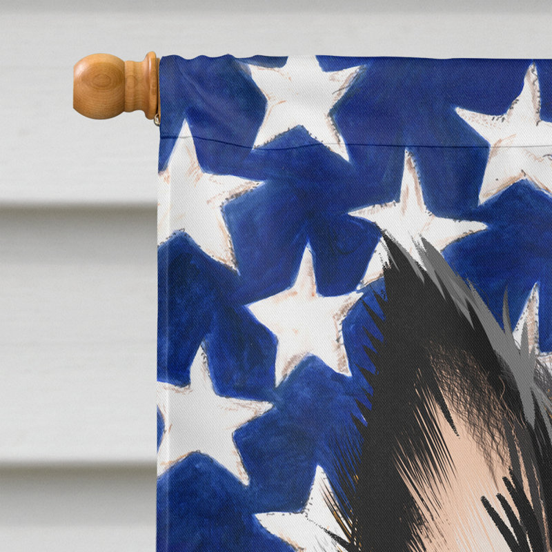 Polyester à 2 côtés 28 x 40 po drapeau maison, Groenendael belge