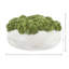 Sedum Arranged in a Stone Planter-2010919692-1985559459