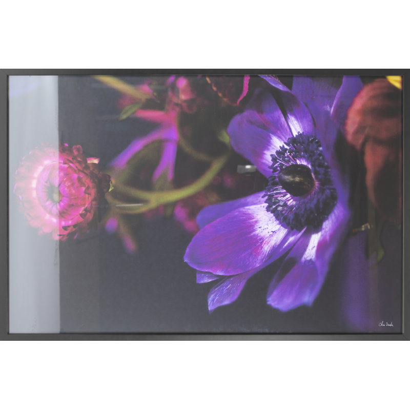 Botanical Arrangement 1 Print by Chris Dunker, 35" H x 50" W
