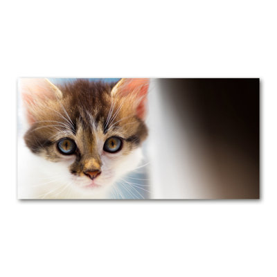 Small Cat - Wrapped Canvas Print