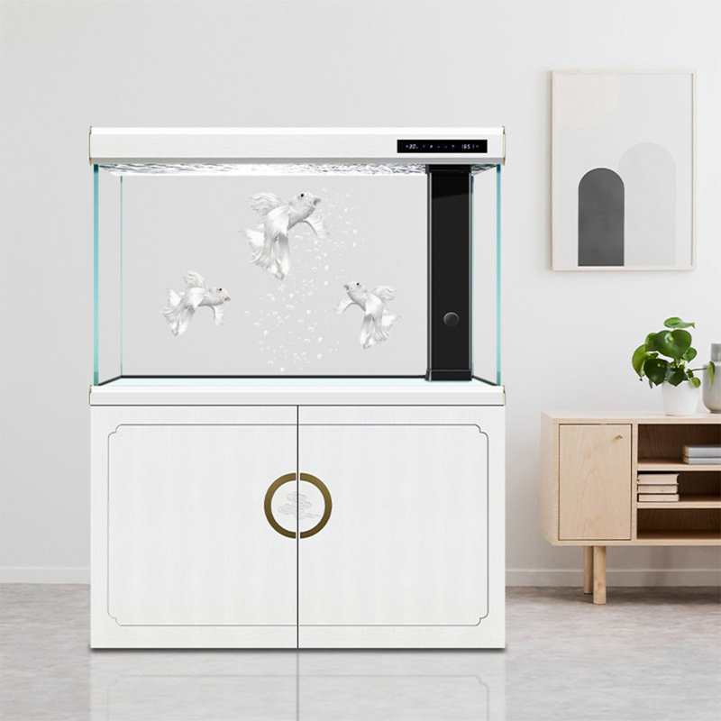 Grand aquarium 31,5 po