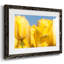 Sunshine Yellow I, reproduction encadrée sur papier-1986653142-1986653099
