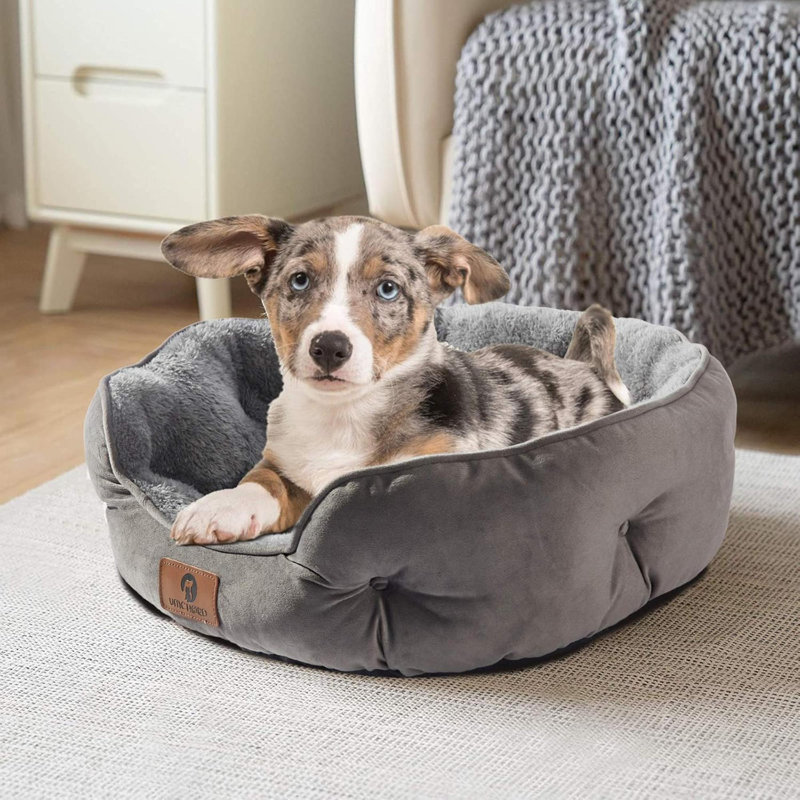Lit pour chien pour chien, lit pour chat d'intérieur, lit pour animal de compagnie pour chiot et chaton, lavable à la machine avec antidérapant et résistant à l'eau