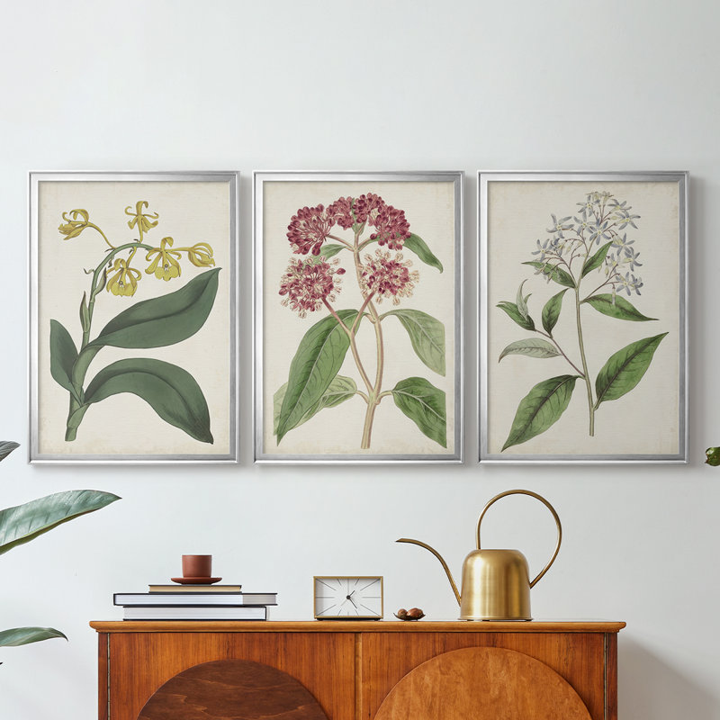 Antique Botanical Collection X - Toile tendue avec châssis sur mesure - 3 pièces
