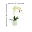 Phalaenopsis Orchid Floral Arrangement in Pot-1204512991