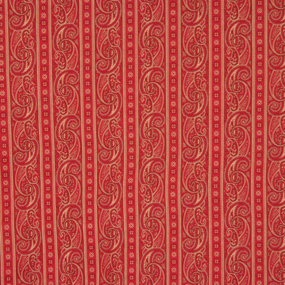 Allure Fabric
