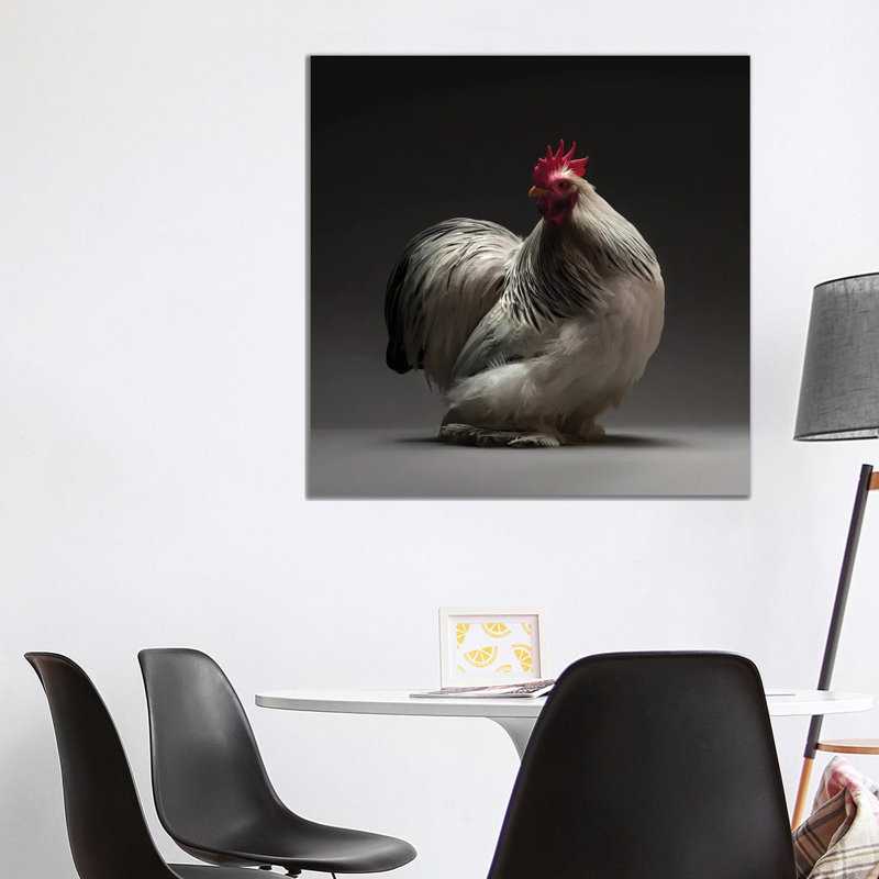 Columbian Cochin Bantam - Wrapped Canvas Print, 93.98 cm H x 93.98 cm W x 1.91 cm D